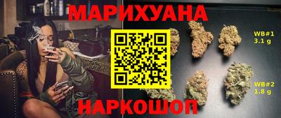МДПВ Татарск