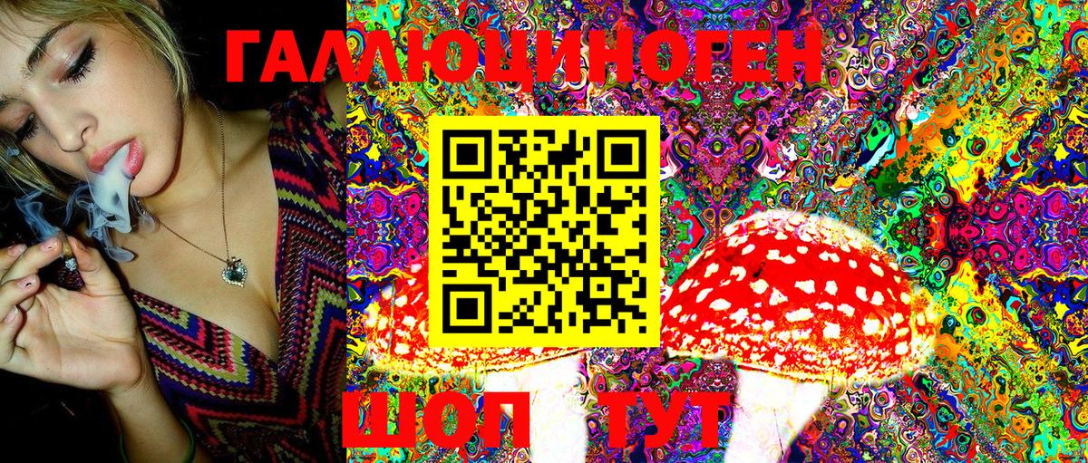 Галлюциногенные грибы MAGIC MUSHROOMS Артём
